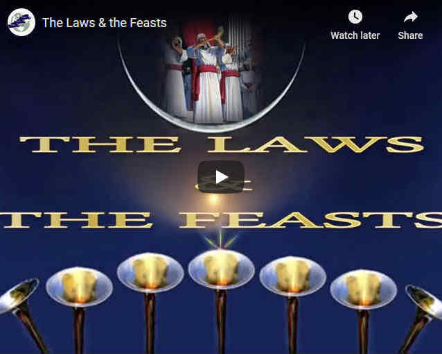 The Law and the Feasts